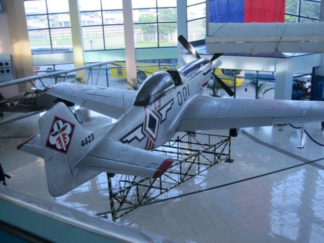 Sự hiện diện của P-51 Mustang trong Chiến tranh Triều Tiên cũng là đề tài của một số phim ảnh, trong đó phim Dragonfly Squadron (1953) nói về những phi công trong cuộc chiến này đã lái những chiếc P-51.